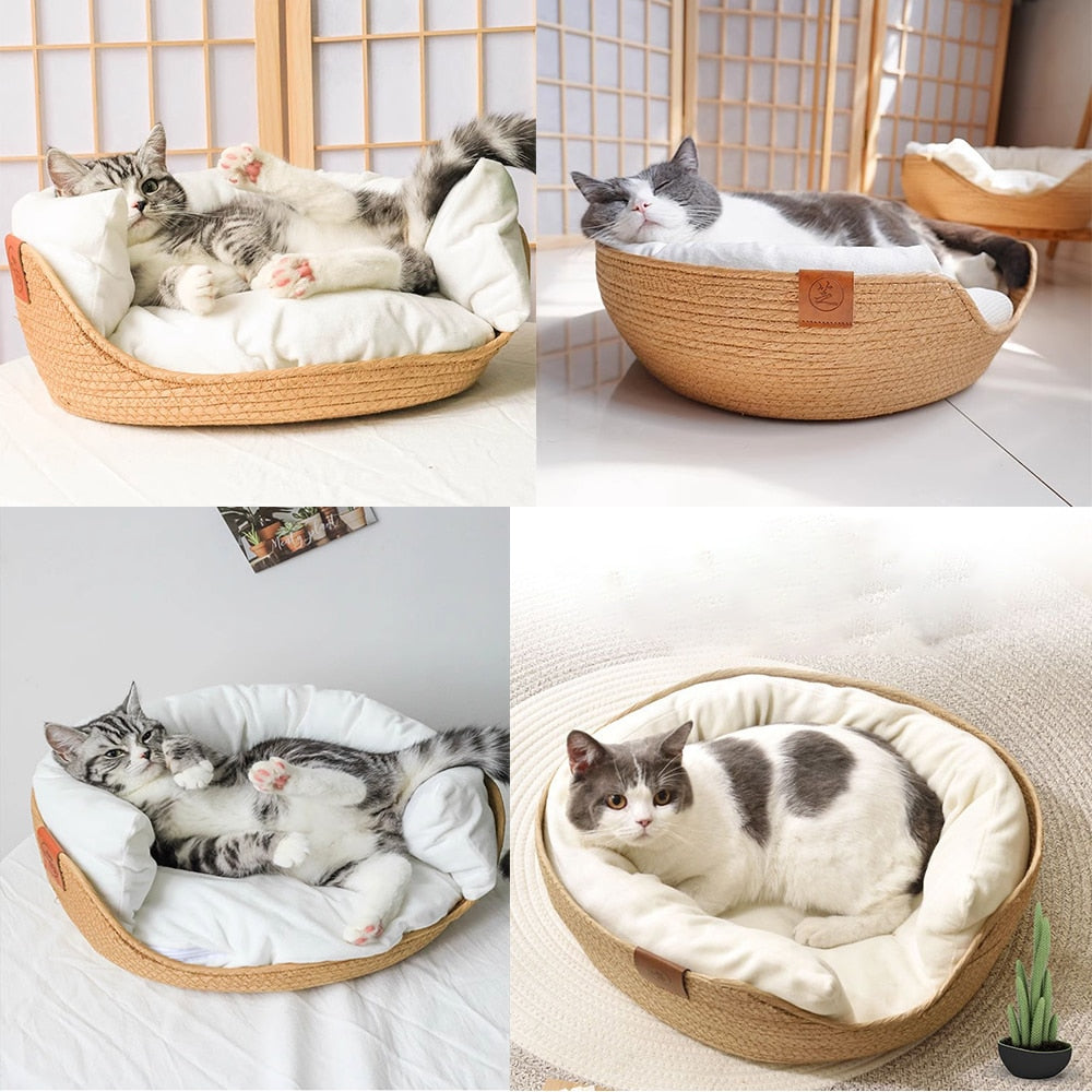 High-grade Extreme Comfort Dog foam Bed